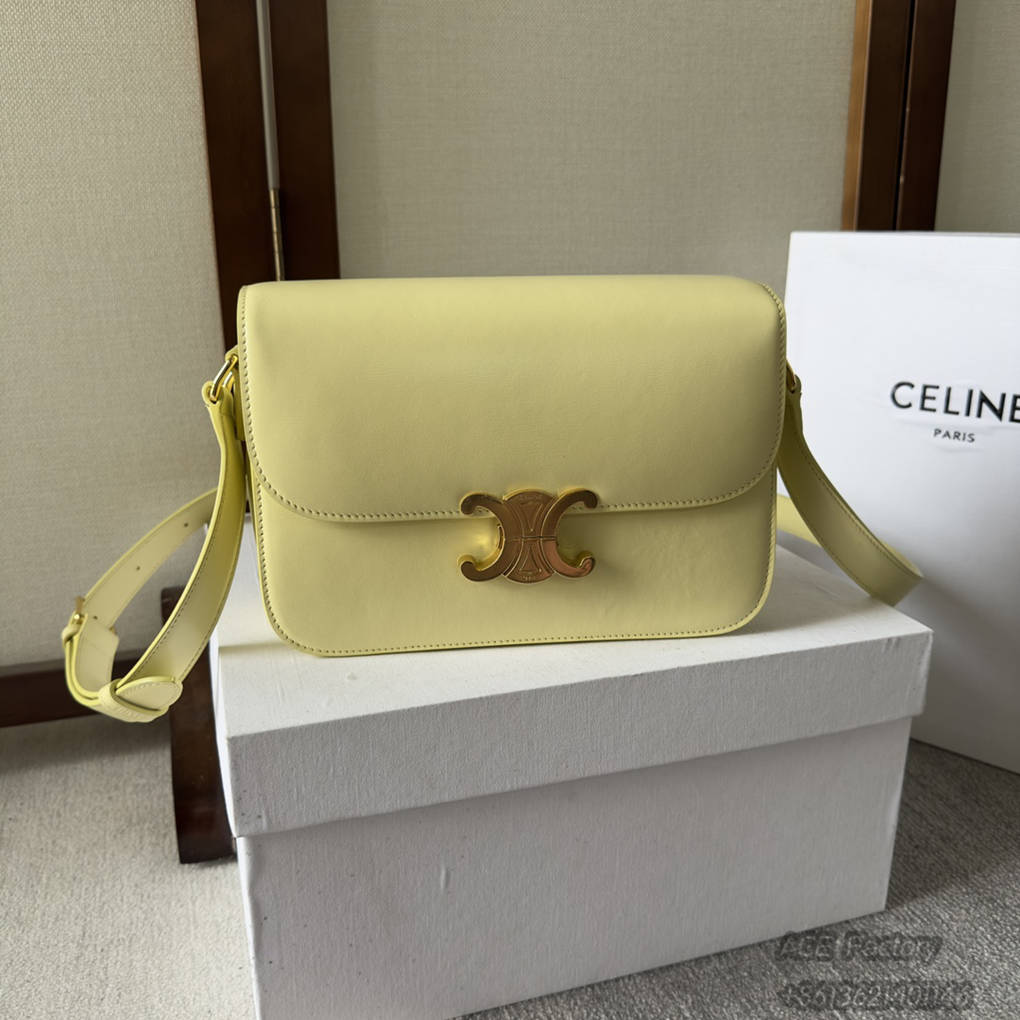 Celine Triomphe Bag Shiny Calfskin Shoulder Bags 187363 Handbag Luxury Designer Mirror Quality 22.5cm