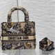 Christian Dior Dior Bag Lady Embroidery 6605 Tote Fashion Women Handbag 9A Mirror High Quality Luxury Design 24cm