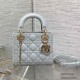 Dior Classic Lady Handbag 6603 Fashion Women  Shoulder Bag Tote 17cm 9A Mirror Quality Luxury Design 17cm