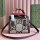  Gucci Diana Mini Tote Bag Aria  Fashion Aria Fashion Classic Designer Luxury Bamboo Handles And Double G Accessories 9A Mirror Quality 20cm  702732 655661