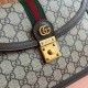 Gucci Orphidia Collection 651055 Web Handbag GG Supreme Canvas Premium Genuine Leather Luxury Designer Shoulder Bag 9A 25cm