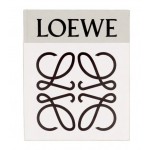 Loewe bags