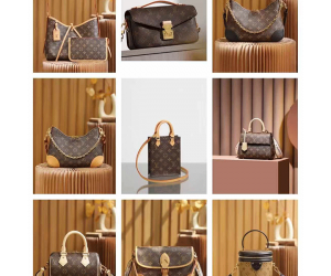 Louis Vuitton Handbags